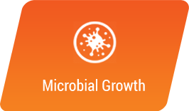 Microbial Growth