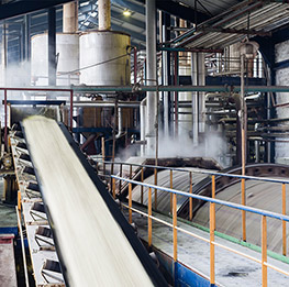 Sustainable management of industrial wastewater for a sugar industry